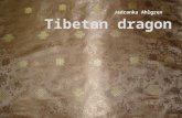 Tibetan  dragon