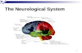 The Neurological System 2 Neurological Exam 5 Components