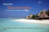 Anantara Maldives Stories  Anantara Dhigu Maldives