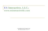 ES Interactive LLC - Who are we