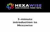 Hexawise Introduction