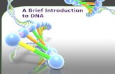 A Brief introduction to DNA and its structure.