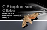 C stephenson gibbs drwg studio