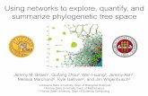 Using networks to explore, quantify, and summarize phylogenetic tree space