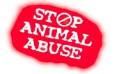 Animal abuse poweroint (major v1)