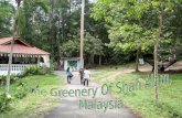 The Greenery Of Shah Alam, MALAYSIA