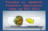 Piranha vs. mammoth   predator appliances that chew up big data