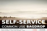 Self Service - Common Use Bag Drop in Avinor