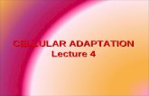 General pathology lecture 4 cellular adaptation