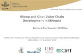 Sheep and Goat Value Chain Development in Ethiopia