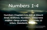 Numbers 1-4, Still at Mount Sinai, Arithmoi, Numbers, wilderness miḏbar, clergy priests, 14 names 12 tribes, Standards, Banners