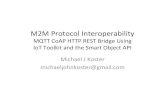 M2M Protocol Interoperability using IoT Toolkit