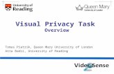 Overview of MediaEval 2012 Visual Privacy Task