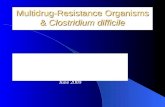 Multidrug-Resistant Organisms