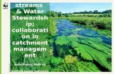 7 kathy hughes chalk streams & water stewardship