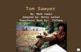 Tom Sawyer Chapters 6 10