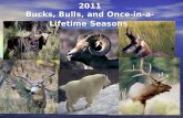 2011 Utah Hunting Seasons