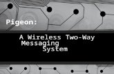 Pigeon A Wireless Two-Way Messaging System