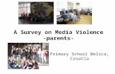 Survey on Media Violence