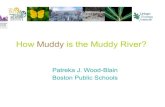 How Muddy Is The Muddy River
