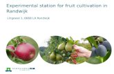 An impression of our experimental station for fruit cultivation