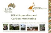 TERN Supersites and Carbon Monitoring_Mike Liddell