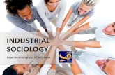 Industrial sociology 1