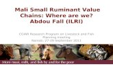 Mali small ruminant value chains: Where are we?