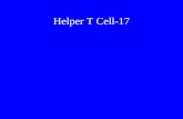 Helper t cell 17