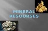 Mineral resourses
