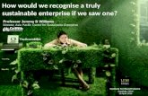 How would we recognise a truly sustainable enterprise if we saw one?