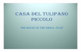 Casa Del Tulipano Piccolo