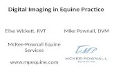 Digital Imaging in Equine Practice