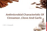 Antimicrobial characteristic of cinnamon ,clove and garlic