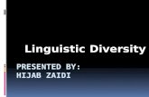 Individual Differences, Linguistic diversity presentation