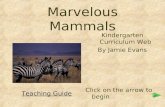 Marvelous mammals plus