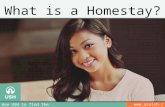 What is a Homestay?