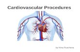 Cardiovascular diagnostic procedures