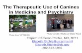 The Therapeutic Use of Canines in Medicine and Psychiatry