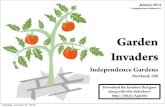 Garden Invaders - Recognizing and Removing Invasive Plants
