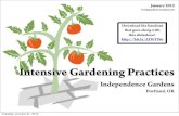 Intensive Gardening Practices - Growing a Lot in a Little Space