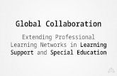 Global Collaboration - Extending Professional Learning Networks in Learning Support and Special Education