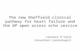 The new Sheffield clinical pathway for heart failure and the ...