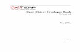 Openobject developer (2)
