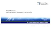 Smart Metering Communications Issues and Technologies
