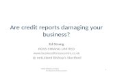 Are Credit Reports Damaging Your Business
