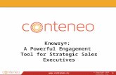 Knowsy a Powerful Engagement Tool for Strategic Sales Executives