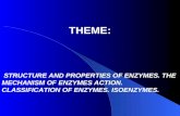 Enzymes. classification. isoenzymes