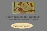 From Slavery To Freedom