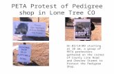PETA protest of Pedigree Shop in Lne Tree, CO